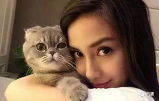 娱乐圈爆料猫不理,猫不理背后的惊人真相！  第3张